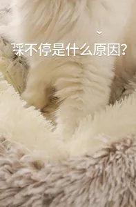 Nahaufnahme von Katzenpfoten, die auf dem ultraweichen Plüschstoff eines Tierbetts kneten