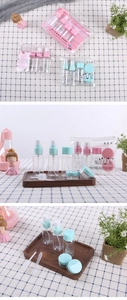 Travel bottle set with spray and pump dispensers in a transparent zip storage pouch