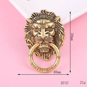 Detailed view of vintage gold lion head door knocker handle with engraved metal ring