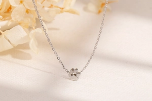 Dettaglio macro di una collana in acciaio inossidabile argento con ciondolo a zampa