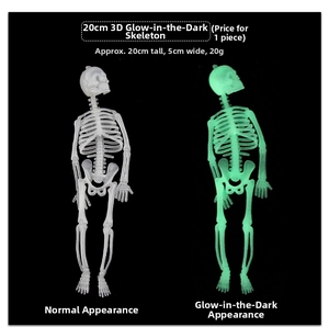 Glow-in-the-dark 20cm skeleton model comparison showing normal and green luminous effects