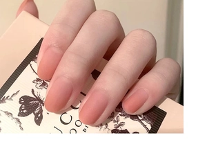 Detailed view of nude pink matte press-on nails with elegant frosted finish and soft style