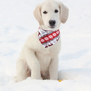 Close-up of a puppy wearing a red Christmas pet bandana with reindeer and snowflake patterns