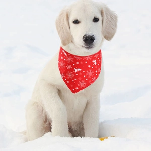Golden Retriever puppy wearing red snowflake Christmas bandana in snowy landscape