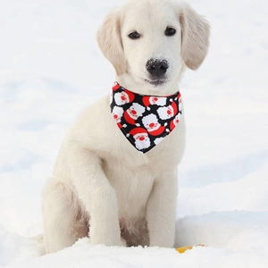 Puppy wearing a red Christmas bandana with Santa Claus pattern in a snowy outdoor scene