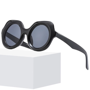 Retro Polygon Sunglasses UV400 Protection Irregular Round Oversized PC Frame AC Lens Outdoor Travel Eyewear For Men Women