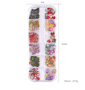 Detailed view of 12-slot Christmas nail art wood pulp flakes set with dimensions 13.5x5cm