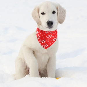 Puppy wearing a red HO HO HO Christmas pet bandana in a snowy winter outdoor setting