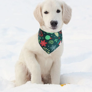 Close-up of golden retriever puppy wearing a dark green Christmas dog bandana in the snow