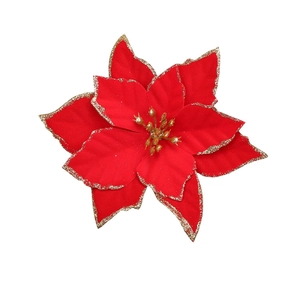 Close-up of a velvet red poinsettia Christmas flower with festive gold glitter edges