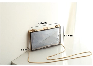 Detail view of acrylic clutch bag with 18x11x7cm dimensions and gold chain strap