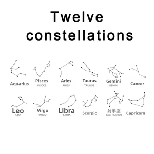 Detailed chart of all twelve zodiac signs for minimalist silver-plated zircon rings