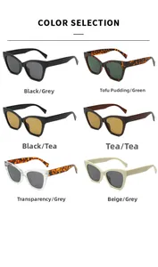 Cat eye sunglasses assortment in black, tortoiseshell, beige and transparent frames