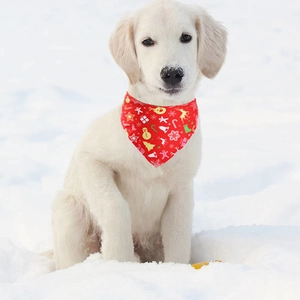 Close-up of a white puppy wearing a festive red Christmas dog bandana in the snow