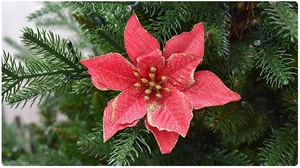 Close-up of red Christmas flower decoration with gold glitter edges on tree