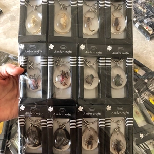 Macro shot of twelve diverse genuine insect specimens encased in amber resin keychains
