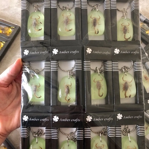 Detailed display of 12 luminous green amber resin scorpion keychains in display packaging