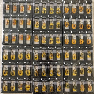 Wholesale amber craft keychains featuring diverse real insect specimens in yellow resin