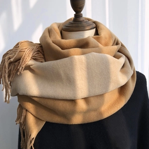 Double Sided Tassel Scarf Imitation Cashmere Thick Warm Shawl Winter Wrap Two Tone Soft Fashion Accessory