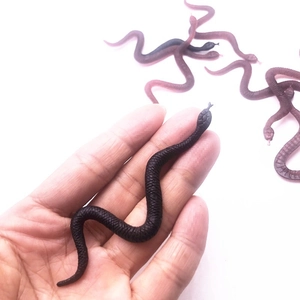 Close-up of small black rubber snake toy with detailed scale texture held in palm