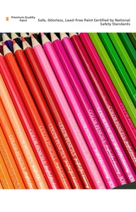Macro shot of organized colorful oil-based colored pencils with pearlized finish