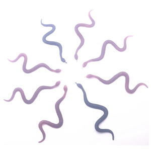 Radial layout of eight colorful translucent TPR soft rubber snake toy models on white back