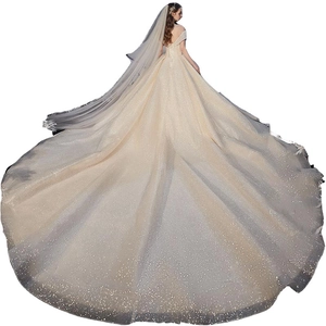 Champagne off-shoulder starry bridal gown with long train and glittering sequins back view