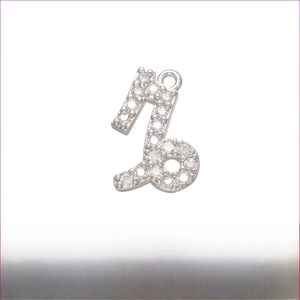 Macro d'un pendentif Capricorne en laiton rhodié avec des micro-incrustations de zircon