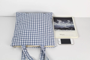 Blue plaid canvas crossbody tote bag with zipper closure and white minimalist background