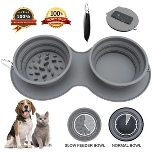 Portable silicone folding pet bowl set with slow feeder and carabiner for outdoors