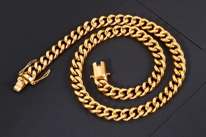 Detailaufnahme der goldenen Edelstahl-Panzerkette mit sicherem Kastenverschluss