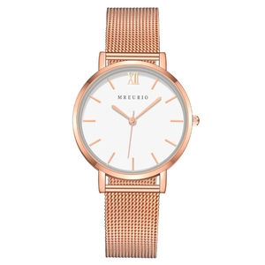 Montre Femme Mode Bracelet En Maille Acier Inoxydable Mouvement Quartz Cadran Blanc Minimaliste Élégante Nordique
