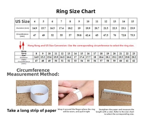 Detailed ring size guide chart showing US and HK diameter and circumference measurements