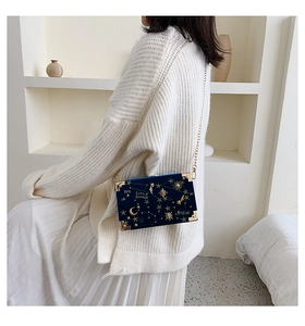 Detail showing deep blue velvet box bag with celestial embroidery and gold chain strap
