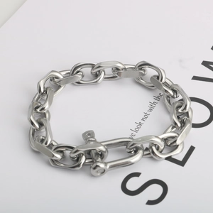 Detailed close-up of a silver stainless steel chain bracelet with a shackle clasp design