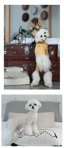 Détail de combinaisons tricotées chaudes pour petits chiens en jaune et blanc