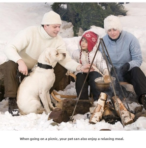 Outdoor winter picnic scene featuring a dog wearing a black nylon collar with metal ring