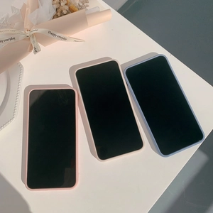 Pastel pink and blue matte phone cases for iPhone 16 displayed with pink dried flowers