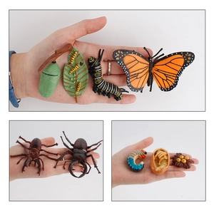 Detailed educational life cycle models of Monarch butterfly and Stag beetle figures