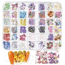 Detailed view of dried flowers and leaves in a plastic case for nail art design