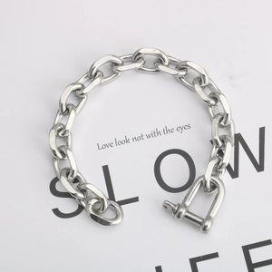 Detailed macro view of the silver stainless steel chain link with industrial U-shaped buckle