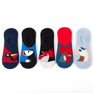 Five pairs of low cut invisible cotton socks featuring colorful bird cartoon patterns