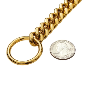 Macro detail of 10mm gold Cuban link dog collar with large metal ring connector