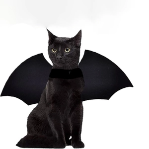 Detailed view of adjustable black felt bat wings costume for small cats and dogs