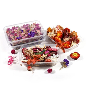 Assorted colorful dried flowers in storage boxes for DIY cube resin mold crafts