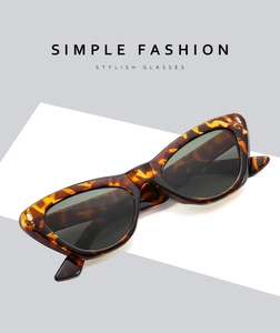 Macro shot of stylish cat eye sunglasses with tortoise frame and dark grey lenses