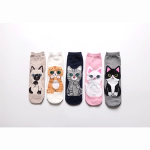 Detailed view of five pairs of cotton socks featuring cartoon cat patterns in assorted colors