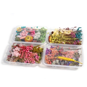 Set of 4 boxes with various preserved dried flowers for DIY floral art projects