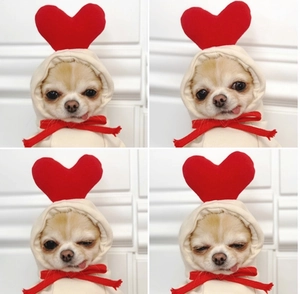 Detail of a beige dog hoodie with red heart headpiece and bow tie shown in a four-grid layout