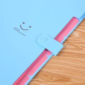 Détail du trieur en PP bleu avec fermeture à bouton-pression et compartiments roses